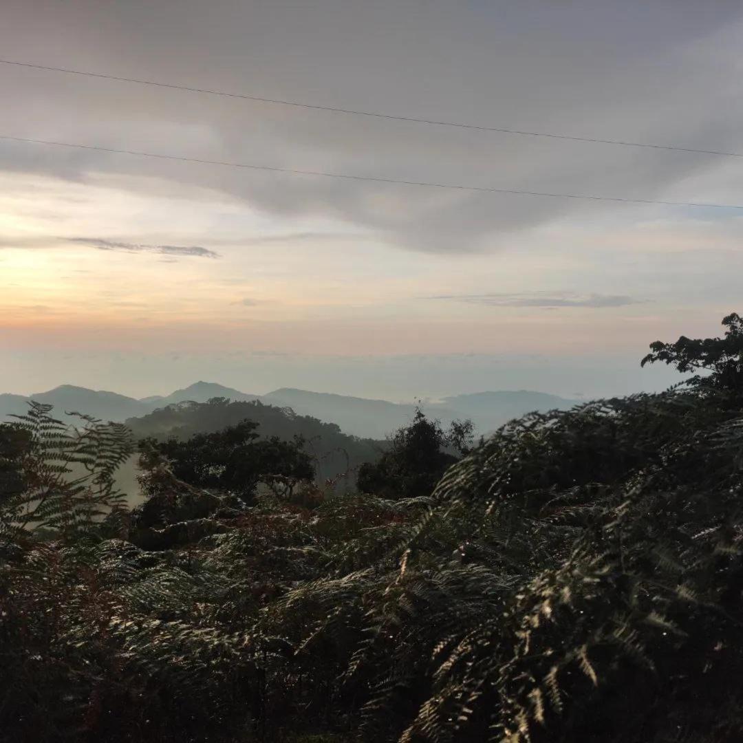 Hotel Y Restaurante Mirador Aires De La Sierra, Minca Ngoại thất bức ảnh
